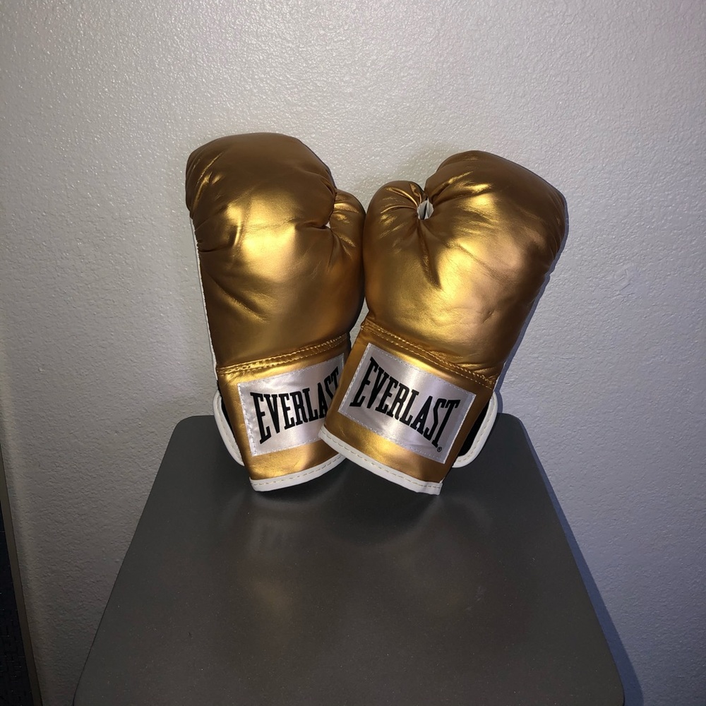 Everlast Gold Boxing Gloves